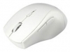 ASUS WT415 Optical Wireless Mouse White USB, ASUS WT415 Optical Wireless Mouse White USB review, ASUS WT415 Optical Wireless Mouse White USB specifications, specifications ASUS WT415 Optical Wireless Mouse White USB, review ASUS WT415 Optical Wireless Mouse White USB, ASUS WT415 Optical Wireless Mouse White USB price, price ASUS WT415 Optical Wireless Mouse White USB, ASUS WT415 Optical Wireless Mouse White USB reviews