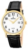 Festina F16522/1 watch, watch Festina F16522/1, Festina F16522/1 price, Festina F16522/1 specs, Festina F16522/1 reviews, Festina F16522/1 specifications, Festina F16522/1