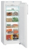 Liebherr GN 2303 freezer, Liebherr GN 2303 fridge, Liebherr GN 2303 refrigerator, Liebherr GN 2303 price, Liebherr GN 2303 specs, Liebherr GN 2303 reviews, Liebherr GN 2303 specifications, Liebherr GN 2303