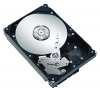 Seagate ST310005N1D1AS specifications, Seagate ST310005N1D1AS, specifications Seagate ST310005N1D1AS, Seagate ST310005N1D1AS specification, Seagate ST310005N1D1AS specs, Seagate ST310005N1D1AS review, Seagate ST310005N1D1AS reviews