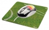 Trust Football Mouse with Mousepad Deutschland USB, Trust Football Mouse with Mousepad Deutschland USB review, Trust Football Mouse with Mousepad Deutschland USB specifications, specifications Trust Football Mouse with Mousepad Deutschland USB, review Trust Football Mouse with Mousepad Deutschland USB, Trust Football Mouse with Mousepad Deutschland USB price, price Trust Football Mouse with Mousepad Deutschland USB, Trust Football Mouse with Mousepad Deutschland USB reviews