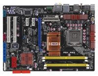 motherboard ASUS, motherboard ASUS P5K Pro, ASUS motherboard, ASUS P5K Pro motherboard, system board ASUS P5K Pro, ASUS P5K Pro specifications, ASUS P5K Pro, specifications ASUS P5K Pro, ASUS P5K Pro specification, system board ASUS, ASUS system board