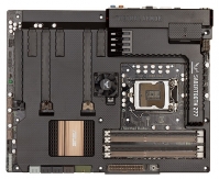ASUS SABERTOOTH Z77 photo, ASUS SABERTOOTH Z77 photos, ASUS SABERTOOTH Z77 picture, ASUS SABERTOOTH Z77 pictures, ASUS photos, ASUS pictures, image ASUS, ASUS images