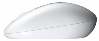 ASUS UT250 Optical V2 White USB photo, ASUS UT250 Optical V2 White USB photos, ASUS UT250 Optical V2 White USB picture, ASUS UT250 Optical V2 White USB pictures, ASUS photos, ASUS pictures, image ASUS, ASUS images