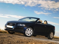 Audi A3 Cabriolet (8P/8PA) 1.2 TFSI MT (105hp) photo, Audi A3 Cabriolet (8P/8PA) 1.2 TFSI MT (105hp) photos, Audi A3 Cabriolet (8P/8PA) 1.2 TFSI MT (105hp) picture, Audi A3 Cabriolet (8P/8PA) 1.2 TFSI MT (105hp) pictures, Audi photos, Audi pictures, image Audi, Audi images