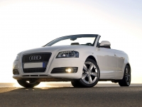 Audi A3 Cabriolet (8P/8PA) 1.2 TFSI MT (105hp) photo, Audi A3 Cabriolet (8P/8PA) 1.2 TFSI MT (105hp) photos, Audi A3 Cabriolet (8P/8PA) 1.2 TFSI MT (105hp) picture, Audi A3 Cabriolet (8P/8PA) 1.2 TFSI MT (105hp) pictures, Audi photos, Audi pictures, image Audi, Audi images