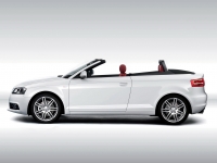 Audi A3 Cabriolet (8P/8PA) 1.4 TFSI MT (125 HP) photo, Audi A3 Cabriolet (8P/8PA) 1.4 TFSI MT (125 HP) photos, Audi A3 Cabriolet (8P/8PA) 1.4 TFSI MT (125 HP) picture, Audi A3 Cabriolet (8P/8PA) 1.4 TFSI MT (125 HP) pictures, Audi photos, Audi pictures, image Audi, Audi images