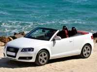 Audi A3 Cabriolet (8P/8PA) 1.4 TFSI MT (125hp) photo, Audi A3 Cabriolet (8P/8PA) 1.4 TFSI MT (125hp) photos, Audi A3 Cabriolet (8P/8PA) 1.4 TFSI MT (125hp) picture, Audi A3 Cabriolet (8P/8PA) 1.4 TFSI MT (125hp) pictures, Audi photos, Audi pictures, image Audi, Audi images