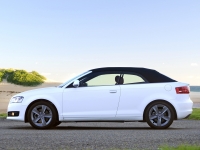 Audi A3 Cabriolet (8P/8PA) 1.4 TFSI MT (125hp) photo, Audi A3 Cabriolet (8P/8PA) 1.4 TFSI MT (125hp) photos, Audi A3 Cabriolet (8P/8PA) 1.4 TFSI MT (125hp) picture, Audi A3 Cabriolet (8P/8PA) 1.4 TFSI MT (125hp) pictures, Audi photos, Audi pictures, image Audi, Audi images