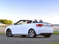 Audi A3 Cabriolet (8P/8PA) 1.6 MT (102 HP) photo, Audi A3 Cabriolet (8P/8PA) 1.6 MT (102 HP) photos, Audi A3 Cabriolet (8P/8PA) 1.6 MT (102 HP) picture, Audi A3 Cabriolet (8P/8PA) 1.6 MT (102 HP) pictures, Audi photos, Audi pictures, image Audi, Audi images