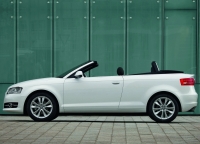 Audi A3 Cabriolet (8P/8PA) 1.6 MT (102 HP) photo, Audi A3 Cabriolet (8P/8PA) 1.6 MT (102 HP) photos, Audi A3 Cabriolet (8P/8PA) 1.6 MT (102 HP) picture, Audi A3 Cabriolet (8P/8PA) 1.6 MT (102 HP) pictures, Audi photos, Audi pictures, image Audi, Audi images