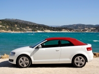 Audi A3 Cabriolet (8P/8PA) 1.6 TDI MT (105 HP) photo, Audi A3 Cabriolet (8P/8PA) 1.6 TDI MT (105 HP) photos, Audi A3 Cabriolet (8P/8PA) 1.6 TDI MT (105 HP) picture, Audi A3 Cabriolet (8P/8PA) 1.6 TDI MT (105 HP) pictures, Audi photos, Audi pictures, image Audi, Audi images