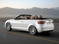 Audi A3 Cabriolet (8P/8PA) 1.6 TDI MT (105 HP) photo, Audi A3 Cabriolet (8P/8PA) 1.6 TDI MT (105 HP) photos, Audi A3 Cabriolet (8P/8PA) 1.6 TDI MT (105 HP) picture, Audi A3 Cabriolet (8P/8PA) 1.6 TDI MT (105 HP) pictures, Audi photos, Audi pictures, image Audi, Audi images