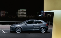 Audi A3 Hatchback 3-door (8P/8PA) 1.6 TDI 99g MT (105 HP) photo, Audi A3 Hatchback 3-door (8P/8PA) 1.6 TDI 99g MT (105 HP) photos, Audi A3 Hatchback 3-door (8P/8PA) 1.6 TDI 99g MT (105 HP) picture, Audi A3 Hatchback 3-door (8P/8PA) 1.6 TDI 99g MT (105 HP) pictures, Audi photos, Audi pictures, image Audi, Audi images