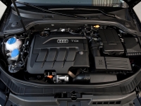 Audi A3 Hatchback 3-door (8P/8PA) 1.6 TDI S-tronic (105hp) photo, Audi A3 Hatchback 3-door (8P/8PA) 1.6 TDI S-tronic (105hp) photos, Audi A3 Hatchback 3-door (8P/8PA) 1.6 TDI S-tronic (105hp) picture, Audi A3 Hatchback 3-door (8P/8PA) 1.6 TDI S-tronic (105hp) pictures, Audi photos, Audi pictures, image Audi, Audi images