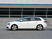 Audi A3 Sportback hatchback 5-door. (8P/8PA) 1.4 TFSI MT (125 HP, '08) photo, Audi A3 Sportback hatchback 5-door. (8P/8PA) 1.4 TFSI MT (125 HP, '08) photos, Audi A3 Sportback hatchback 5-door. (8P/8PA) 1.4 TFSI MT (125 HP, '08) picture, Audi A3 Sportback hatchback 5-door. (8P/8PA) 1.4 TFSI MT (125 HP, '08) pictures, Audi photos, Audi pictures, image Audi, Audi images