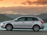 Audi A3 Sportback hatchback 5-door. (8P/8PA) 1.4 TFSI MT (125 HP, '08) photo, Audi A3 Sportback hatchback 5-door. (8P/8PA) 1.4 TFSI MT (125 HP, '08) photos, Audi A3 Sportback hatchback 5-door. (8P/8PA) 1.4 TFSI MT (125 HP, '08) picture, Audi A3 Sportback hatchback 5-door. (8P/8PA) 1.4 TFSI MT (125 HP, '08) pictures, Audi photos, Audi pictures, image Audi, Audi images