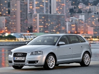 Audi A3 Sportback hatchback 5-door. (8P/8PA) 1.4 TFSI MT (125 HP, '08) photo, Audi A3 Sportback hatchback 5-door. (8P/8PA) 1.4 TFSI MT (125 HP, '08) photos, Audi A3 Sportback hatchback 5-door. (8P/8PA) 1.4 TFSI MT (125 HP, '08) picture, Audi A3 Sportback hatchback 5-door. (8P/8PA) 1.4 TFSI MT (125 HP, '08) pictures, Audi photos, Audi pictures, image Audi, Audi images