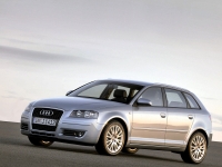 Audi A3 Sportback hatchback 5-door. (8P/8PA) 1.4 TFSI MT (125 HP, '08) photo, Audi A3 Sportback hatchback 5-door. (8P/8PA) 1.4 TFSI MT (125 HP, '08) photos, Audi A3 Sportback hatchback 5-door. (8P/8PA) 1.4 TFSI MT (125 HP, '08) picture, Audi A3 Sportback hatchback 5-door. (8P/8PA) 1.4 TFSI MT (125 HP, '08) pictures, Audi photos, Audi pictures, image Audi, Audi images