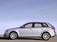 Audi A3 Sportback hatchback 5-door. (8P/8PA) 1.4 TFSI MT (125 HP, '08) photo, Audi A3 Sportback hatchback 5-door. (8P/8PA) 1.4 TFSI MT (125 HP, '08) photos, Audi A3 Sportback hatchback 5-door. (8P/8PA) 1.4 TFSI MT (125 HP, '08) picture, Audi A3 Sportback hatchback 5-door. (8P/8PA) 1.4 TFSI MT (125 HP, '08) pictures, Audi photos, Audi pictures, image Audi, Audi images