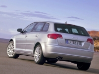 Audi A3 Sportback hatchback 5-door. (8P/8PA) 1.4 TFSI MT (125 HP, '08) photo, Audi A3 Sportback hatchback 5-door. (8P/8PA) 1.4 TFSI MT (125 HP, '08) photos, Audi A3 Sportback hatchback 5-door. (8P/8PA) 1.4 TFSI MT (125 HP, '08) picture, Audi A3 Sportback hatchback 5-door. (8P/8PA) 1.4 TFSI MT (125 HP, '08) pictures, Audi photos, Audi pictures, image Audi, Audi images