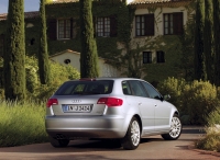 Audi A3 Sportback hatchback 5-door. (8P/8PA) 1.4 TFSI MT (125 HP, '08) photo, Audi A3 Sportback hatchback 5-door. (8P/8PA) 1.4 TFSI MT (125 HP, '08) photos, Audi A3 Sportback hatchback 5-door. (8P/8PA) 1.4 TFSI MT (125 HP, '08) picture, Audi A3 Sportback hatchback 5-door. (8P/8PA) 1.4 TFSI MT (125 HP, '08) pictures, Audi photos, Audi pictures, image Audi, Audi images