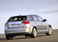 Audi A3 Sportback hatchback 5-door. (8P/8PA) 1.4 TFSI MT (125 HP, '08) photo, Audi A3 Sportback hatchback 5-door. (8P/8PA) 1.4 TFSI MT (125 HP, '08) photos, Audi A3 Sportback hatchback 5-door. (8P/8PA) 1.4 TFSI MT (125 HP, '08) picture, Audi A3 Sportback hatchback 5-door. (8P/8PA) 1.4 TFSI MT (125 HP, '08) pictures, Audi photos, Audi pictures, image Audi, Audi images