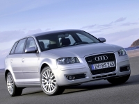 Audi A3 Sportback hatchback 5-door. (8P/8PA) 1.4 TFSI MT (125 HP, '08) photo, Audi A3 Sportback hatchback 5-door. (8P/8PA) 1.4 TFSI MT (125 HP, '08) photos, Audi A3 Sportback hatchback 5-door. (8P/8PA) 1.4 TFSI MT (125 HP, '08) picture, Audi A3 Sportback hatchback 5-door. (8P/8PA) 1.4 TFSI MT (125 HP, '08) pictures, Audi photos, Audi pictures, image Audi, Audi images