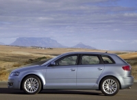 Audi A3 Sportback hatchback 5-door. (8P/8PA) 1.6 FSI MT photo, Audi A3 Sportback hatchback 5-door. (8P/8PA) 1.6 FSI MT photos, Audi A3 Sportback hatchback 5-door. (8P/8PA) 1.6 FSI MT picture, Audi A3 Sportback hatchback 5-door. (8P/8PA) 1.6 FSI MT pictures, Audi photos, Audi pictures, image Audi, Audi images