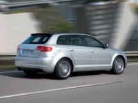 Audi A3 Sportback hatchback 5-door. (8P/8PA) 1.6 MT (102 HP) photo, Audi A3 Sportback hatchback 5-door. (8P/8PA) 1.6 MT (102 HP) photos, Audi A3 Sportback hatchback 5-door. (8P/8PA) 1.6 MT (102 HP) picture, Audi A3 Sportback hatchback 5-door. (8P/8PA) 1.6 MT (102 HP) pictures, Audi photos, Audi pictures, image Audi, Audi images