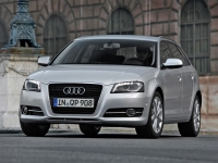 car Audi, car Audi A3 Sportback hatchback 5-door. (8P/8PA) 1.6 MT (102 HP), Audi car, Audi A3 Sportback hatchback 5-door. (8P/8PA) 1.6 MT (102 HP) car, cars Audi, Audi cars, cars Audi A3 Sportback hatchback 5-door. (8P/8PA) 1.6 MT (102 HP), Audi A3 Sportback hatchback 5-door. (8P/8PA) 1.6 MT (102 HP) specifications, Audi A3 Sportback hatchback 5-door. (8P/8PA) 1.6 MT (102 HP), Audi A3 Sportback hatchback 5-door. (8P/8PA) 1.6 MT (102 HP) cars, Audi A3 Sportback hatchback 5-door. (8P/8PA) 1.6 MT (102 HP) specification