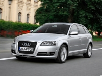 Audi A3 Sportback hatchback 5-door. (8P/8PA) 1.6 MT (102 HP) photo, Audi A3 Sportback hatchback 5-door. (8P/8PA) 1.6 MT (102 HP) photos, Audi A3 Sportback hatchback 5-door. (8P/8PA) 1.6 MT (102 HP) picture, Audi A3 Sportback hatchback 5-door. (8P/8PA) 1.6 MT (102 HP) pictures, Audi photos, Audi pictures, image Audi, Audi images