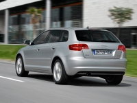 Audi A3 Sportback hatchback 5-door. (8P/8PA) 1.6 MT (102 HP) photo, Audi A3 Sportback hatchback 5-door. (8P/8PA) 1.6 MT (102 HP) photos, Audi A3 Sportback hatchback 5-door. (8P/8PA) 1.6 MT (102 HP) picture, Audi A3 Sportback hatchback 5-door. (8P/8PA) 1.6 MT (102 HP) pictures, Audi photos, Audi pictures, image Audi, Audi images