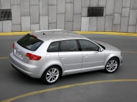 Audi A3 Sportback hatchback 5-door. (8P/8PA) 1.6 MT (102 HP) photo, Audi A3 Sportback hatchback 5-door. (8P/8PA) 1.6 MT (102 HP) photos, Audi A3 Sportback hatchback 5-door. (8P/8PA) 1.6 MT (102 HP) picture, Audi A3 Sportback hatchback 5-door. (8P/8PA) 1.6 MT (102 HP) pictures, Audi photos, Audi pictures, image Audi, Audi images