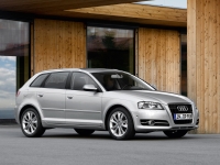 Audi A3 Sportback hatchback 5-door. (8P/8PA) 1.6 MT (102 HP) photo, Audi A3 Sportback hatchback 5-door. (8P/8PA) 1.6 MT (102 HP) photos, Audi A3 Sportback hatchback 5-door. (8P/8PA) 1.6 MT (102 HP) picture, Audi A3 Sportback hatchback 5-door. (8P/8PA) 1.6 MT (102 HP) pictures, Audi photos, Audi pictures, image Audi, Audi images