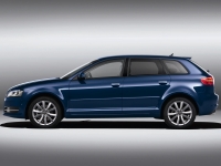 Audi A3 Sportback hatchback 5-door. (8P/8PA) 1.6 MT (102 HP) photo, Audi A3 Sportback hatchback 5-door. (8P/8PA) 1.6 MT (102 HP) photos, Audi A3 Sportback hatchback 5-door. (8P/8PA) 1.6 MT (102 HP) picture, Audi A3 Sportback hatchback 5-door. (8P/8PA) 1.6 MT (102 HP) pictures, Audi photos, Audi pictures, image Audi, Audi images