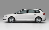 Audi A3 Sportback hatchback 5-door. (8P/8PA) 1.6 TDI MT (105hp) photo, Audi A3 Sportback hatchback 5-door. (8P/8PA) 1.6 TDI MT (105hp) photos, Audi A3 Sportback hatchback 5-door. (8P/8PA) 1.6 TDI MT (105hp) picture, Audi A3 Sportback hatchback 5-door. (8P/8PA) 1.6 TDI MT (105hp) pictures, Audi photos, Audi pictures, image Audi, Audi images