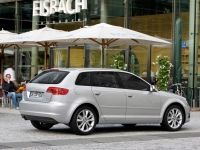 Audi A3 Sportback hatchback 5-door. (8P/8PA) 1.6 TDI MT (105hp) photo, Audi A3 Sportback hatchback 5-door. (8P/8PA) 1.6 TDI MT (105hp) photos, Audi A3 Sportback hatchback 5-door. (8P/8PA) 1.6 TDI MT (105hp) picture, Audi A3 Sportback hatchback 5-door. (8P/8PA) 1.6 TDI MT (105hp) pictures, Audi photos, Audi pictures, image Audi, Audi images