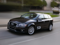 Audi A3 Sportback hatchback 5-door. (8P/8PA) 1.6 TDi MT (90hp) photo, Audi A3 Sportback hatchback 5-door. (8P/8PA) 1.6 TDi MT (90hp) photos, Audi A3 Sportback hatchback 5-door. (8P/8PA) 1.6 TDi MT (90hp) picture, Audi A3 Sportback hatchback 5-door. (8P/8PA) 1.6 TDi MT (90hp) pictures, Audi photos, Audi pictures, image Audi, Audi images