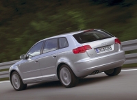 Audi A3 Sportback hatchback 5-door. (8P/8PA) 1.6 Tiptronic (102 HP '07) photo, Audi A3 Sportback hatchback 5-door. (8P/8PA) 1.6 Tiptronic (102 HP '07) photos, Audi A3 Sportback hatchback 5-door. (8P/8PA) 1.6 Tiptronic (102 HP '07) picture, Audi A3 Sportback hatchback 5-door. (8P/8PA) 1.6 Tiptronic (102 HP '07) pictures, Audi photos, Audi pictures, image Audi, Audi images