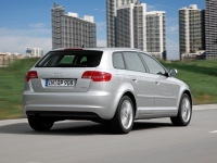 Audi A3 Sportback hatchback 5-door. (8P/8PA) 1.9 TDI S-tronic (105 HP) photo, Audi A3 Sportback hatchback 5-door. (8P/8PA) 1.9 TDI S-tronic (105 HP) photos, Audi A3 Sportback hatchback 5-door. (8P/8PA) 1.9 TDI S-tronic (105 HP) picture, Audi A3 Sportback hatchback 5-door. (8P/8PA) 1.9 TDI S-tronic (105 HP) pictures, Audi photos, Audi pictures, image Audi, Audi images