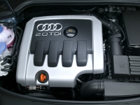 Audi A3 Sportback hatchback 5-door. (8P/8PA) 2.0 TDI Dpf MT Quattro (140 HP '06/2) photo, Audi A3 Sportback hatchback 5-door. (8P/8PA) 2.0 TDI Dpf MT Quattro (140 HP '06/2) photos, Audi A3 Sportback hatchback 5-door. (8P/8PA) 2.0 TDI Dpf MT Quattro (140 HP '06/2) picture, Audi A3 Sportback hatchback 5-door. (8P/8PA) 2.0 TDI Dpf MT Quattro (140 HP '06/2) pictures, Audi photos, Audi pictures, image Audi, Audi images