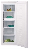 BEKO FSE 21906 freezer, BEKO FSE 21906 fridge, BEKO FSE 21906 refrigerator, BEKO FSE 21906 price, BEKO FSE 21906 specs, BEKO FSE 21906 reviews, BEKO FSE 21906 specifications, BEKO FSE 21906