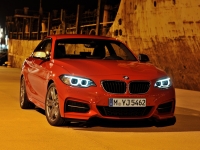 BMW 2 series Coupe (F22) 220d at (184 HP) photo, BMW 2 series Coupe (F22) 220d at (184 HP) photos, BMW 2 series Coupe (F22) 220d at (184 HP) picture, BMW 2 series Coupe (F22) 220d at (184 HP) pictures, BMW photos, BMW pictures, image BMW, BMW images