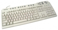 Chicony KB-9900 White PS/2, Chicony KB-9900 White PS/2 review, Chicony KB-9900 White PS/2 specifications, specifications Chicony KB-9900 White PS/2, review Chicony KB-9900 White PS/2, Chicony KB-9900 White PS/2 price, price Chicony KB-9900 White PS/2, Chicony KB-9900 White PS/2 reviews
