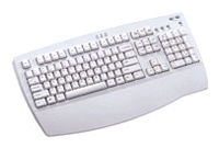 Chicony KB-9908 White PS/2, Chicony KB-9908 White PS/2 review, Chicony KB-9908 White PS/2 specifications, specifications Chicony KB-9908 White PS/2, review Chicony KB-9908 White PS/2, Chicony KB-9908 White PS/2 price, price Chicony KB-9908 White PS/2, Chicony KB-9908 White PS/2 reviews