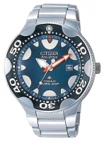 Citizen BN0016-55L watch, watch Citizen BN0016-55L, Citizen BN0016-55L price, Citizen BN0016-55L specs, Citizen BN0016-55L reviews, Citizen BN0016-55L specifications, Citizen BN0016-55L