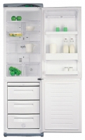 Daewoo Electronics ERF-385 AHE freezer, Daewoo Electronics ERF-385 AHE fridge, Daewoo Electronics ERF-385 AHE refrigerator, Daewoo Electronics ERF-385 AHE price, Daewoo Electronics ERF-385 AHE specs, Daewoo Electronics ERF-385 AHE reviews, Daewoo Electronics ERF-385 AHE specifications, Daewoo Electronics ERF-385 AHE