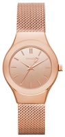 DKNY NY2105 watch, watch DKNY NY2105, DKNY NY2105 price, DKNY NY2105 specs, DKNY NY2105 reviews, DKNY NY2105 specifications, DKNY NY2105