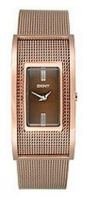 DKNY NY4730 watch, watch DKNY NY4730, DKNY NY4730 price, DKNY NY4730 specs, DKNY NY4730 reviews, DKNY NY4730 specifications, DKNY NY4730